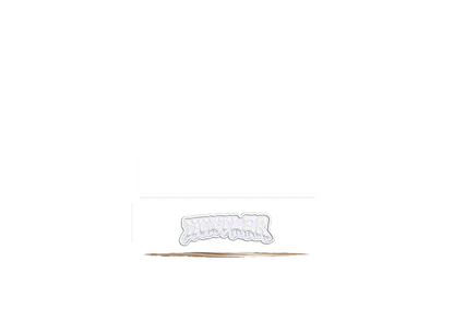 Satin Lined Beanies